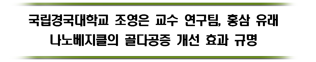 조영은 교수 연구팀, 홍삼 유래 나노베지클의 골다공증 개선 효과 규명