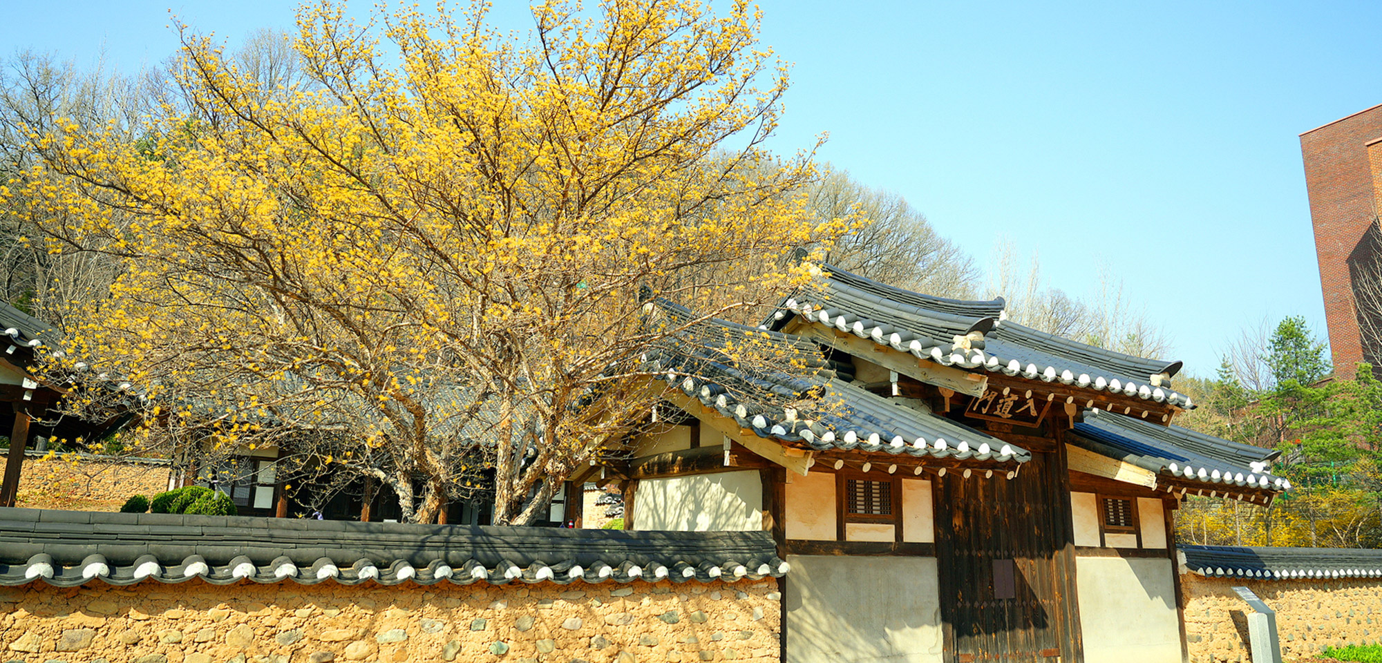 국립경국대학교